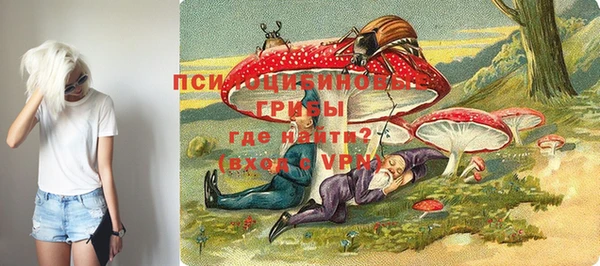 шишки Вязники