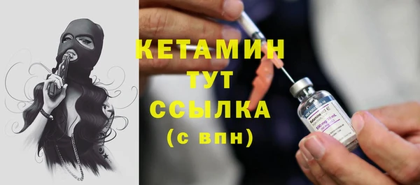 индика Тихвин
