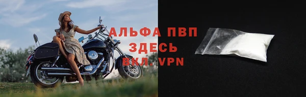 шишки Вязники