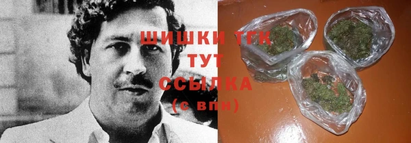 индика Тихвин
