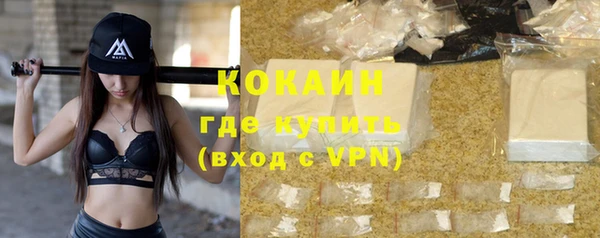 шишки Вязники